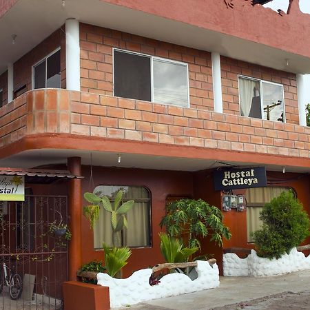 Hostal Cattleya Puerto Baquerizo Moreno Eksteriør billede