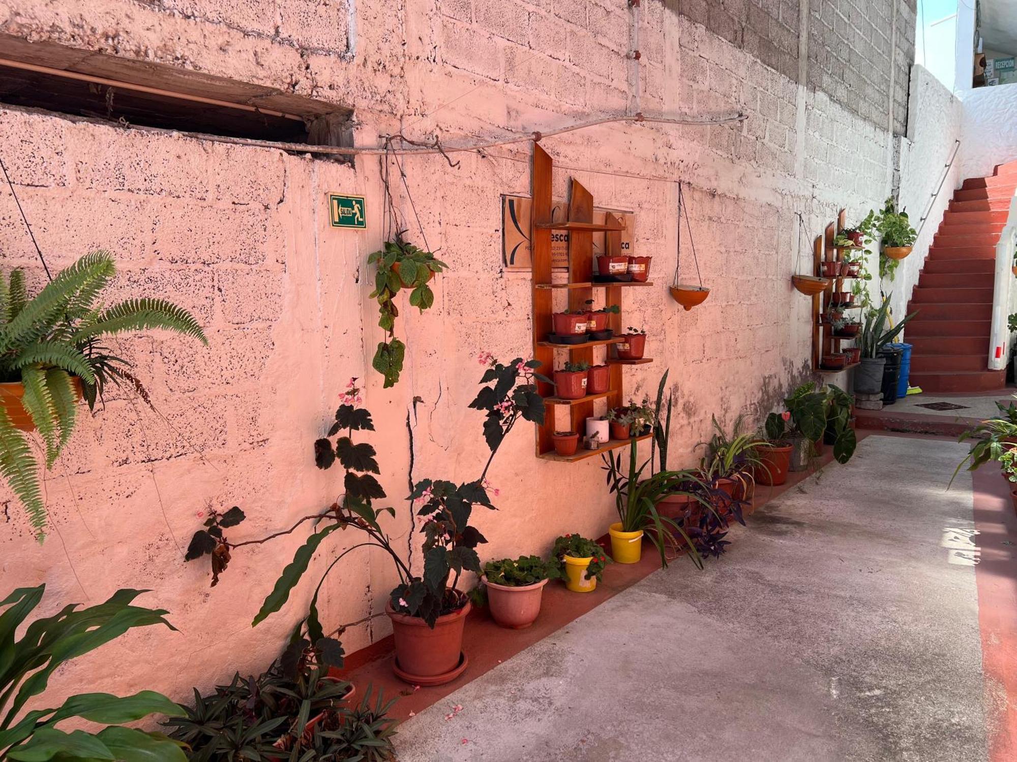 Hostal Cattleya Puerto Baquerizo Moreno Eksteriør billede