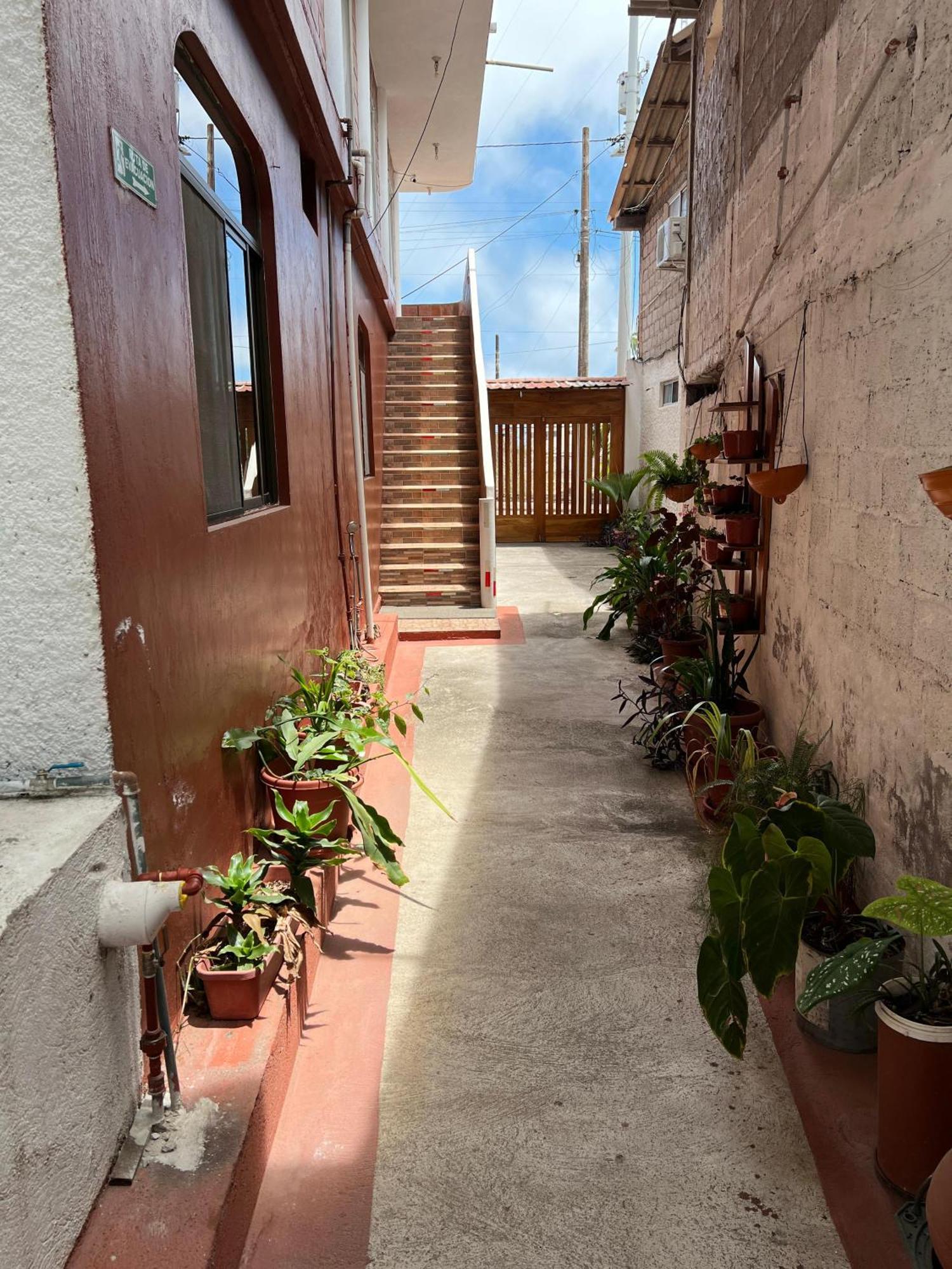 Hostal Cattleya Puerto Baquerizo Moreno Eksteriør billede