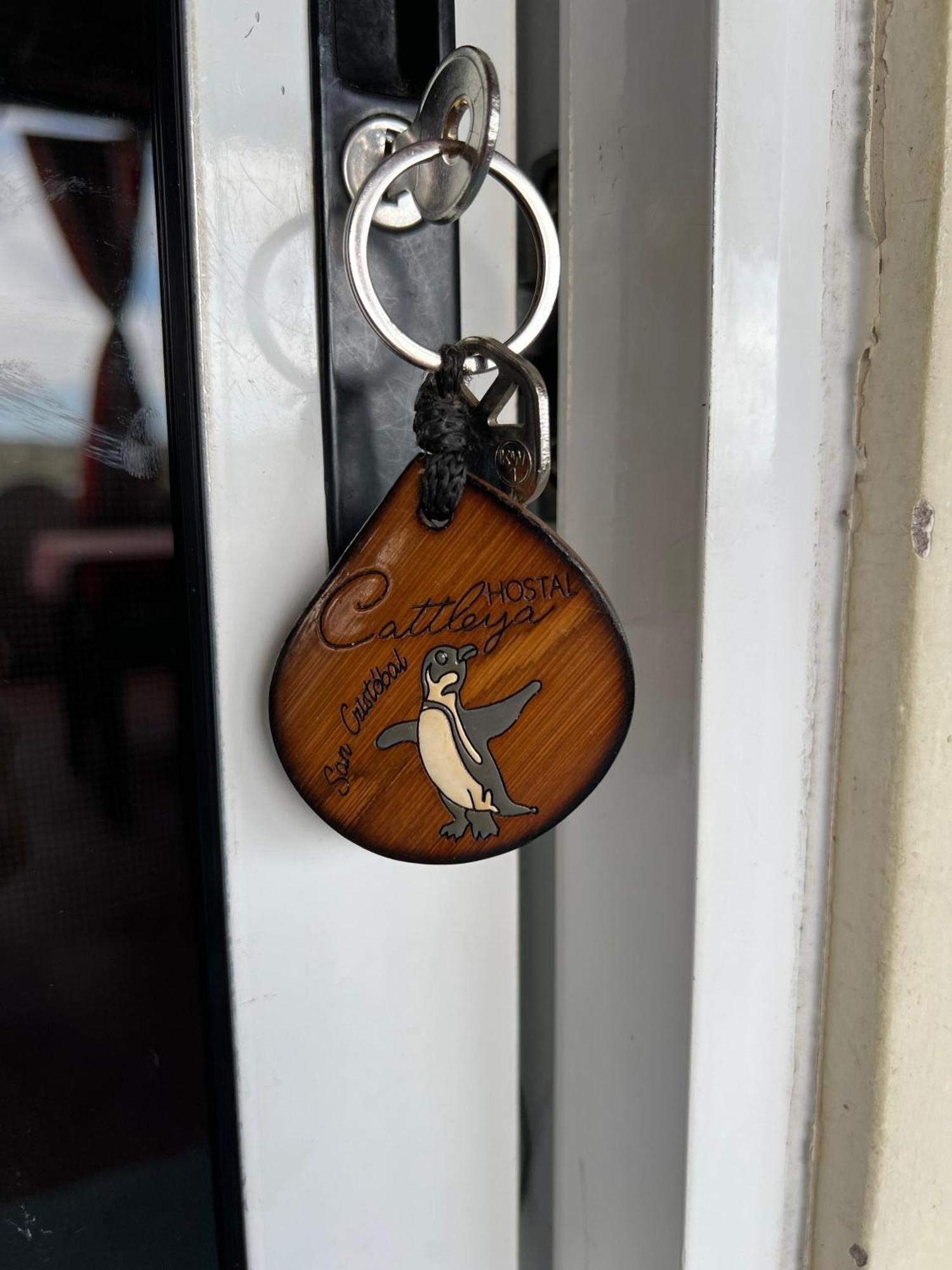 Hostal Cattleya Puerto Baquerizo Moreno Værelse billede